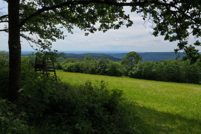 Katzenbuckel