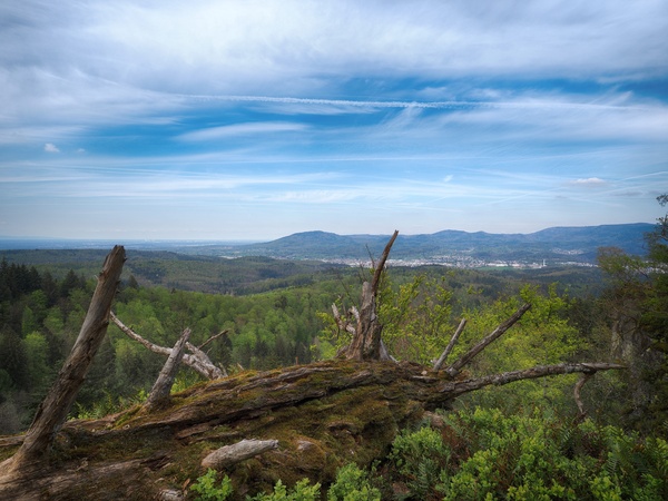 Verbrannte Felsen