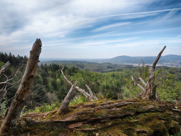 Verbrannte Felsen